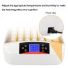 56-Egg Practical Fully Automatic Poultry Incubator with Egg Candler (US Standard) White