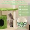 Cute Cat Tree for Indoor Cats with Supporting Frame