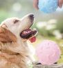 Dog toys bite-resistant pet teething teeth cleaning supplies self-help boredom dog round ball interactive bone ball