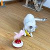 New Durable Funny Pet Cat Toys for entertain itself Mimi Favorite Feather Tumbler with small bell Kitten Cat Toys For Catch