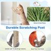 Indoor Cat Tower with Sisal Covered Scratching Posts