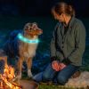 USB Rechargeable LED Dog Collar Multi-Color Lighting Dog Safety Collar Cuttable Length Glow Dog Collar For Small Medium Large Dog Night Walking